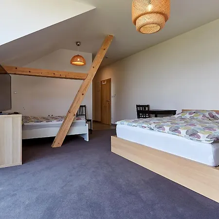 Guest house Bilichov *