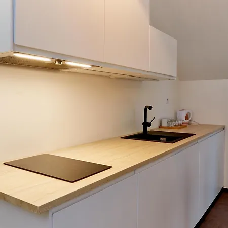 Bilichov Guest house *