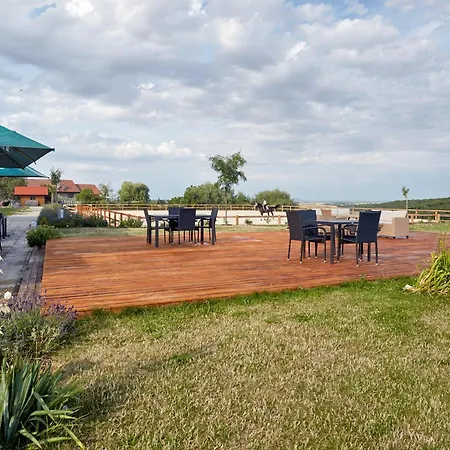 Bilichov Guest house *