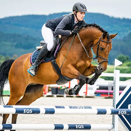 Cheveldon Gasthuis 3*