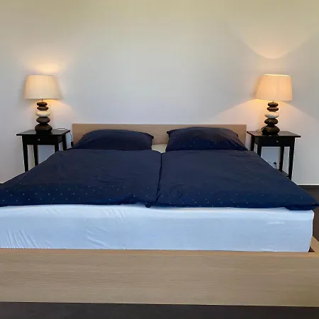 Bilichov Guest house *